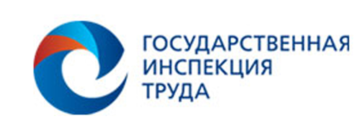 Презентация государственная инспекция труда